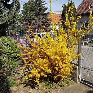 Garden Donau-city , Wien Österreich